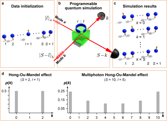 Quantum simulations with multiphoton Fock states | npj Quantum ...
