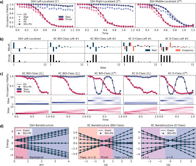 Stabilizing multiple topological fermions on a quantum computer