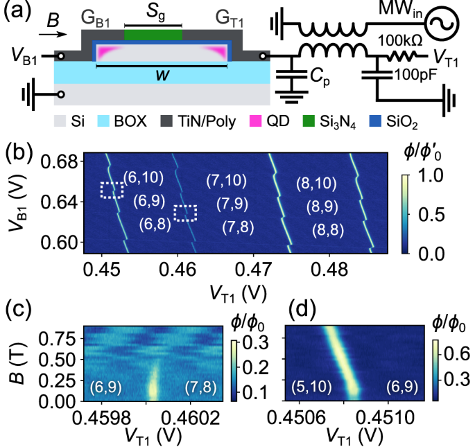 Non-symmetric Pauli spin blockade in a silicon double quantum dot | npj Quantum Information - Nature