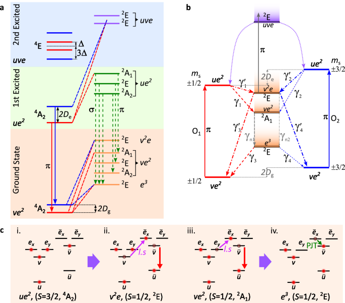 The silicon vacancy centers in sic: determination of intrinsic spin dynamics for integrated quantum photonics