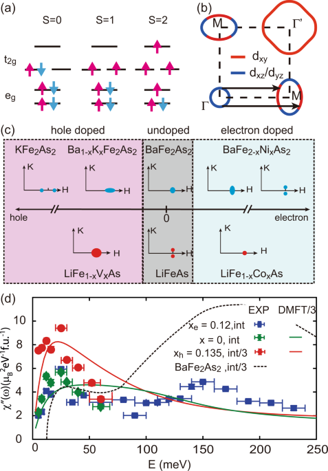 Strong Local Moment Antiferromagnetic Spin Fluctuations In V Doped Lifeas Npj Quantum Materials