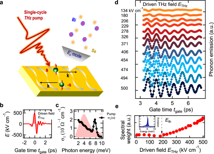 Light control of surface–bulk coupling by terahertz vibrational coherence  in a topological insulator | npj Quantum Materials