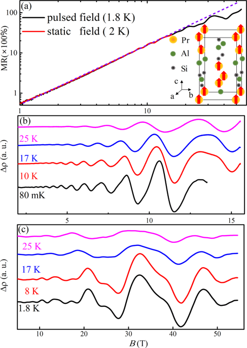 Field-induced lifshitz transition in the magnetic weyl semimetal candidate pralsi