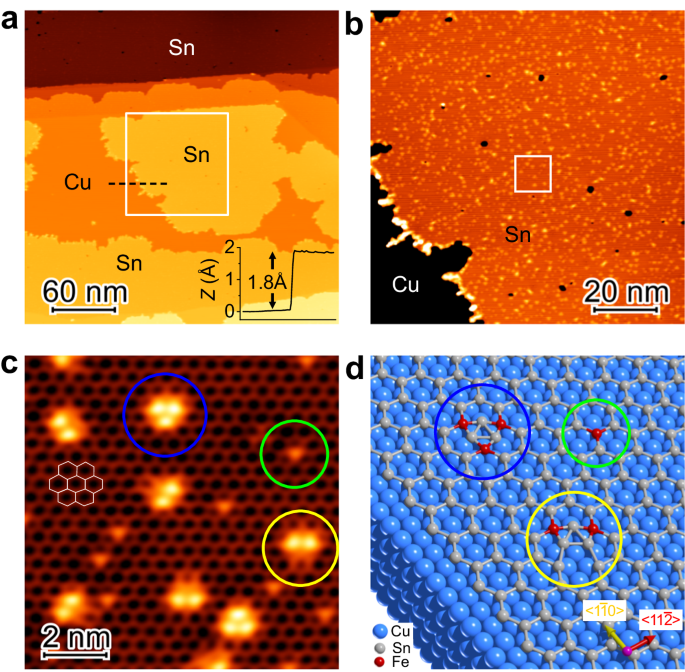Atomic-scale magnetic doping of monolayer stanene by revealing kondo effect from self-assembled fe spin entities