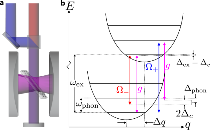 feature-image