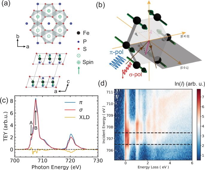 spin-orbital-excitations-encoding-the-magnetic-phase-transition-in-the