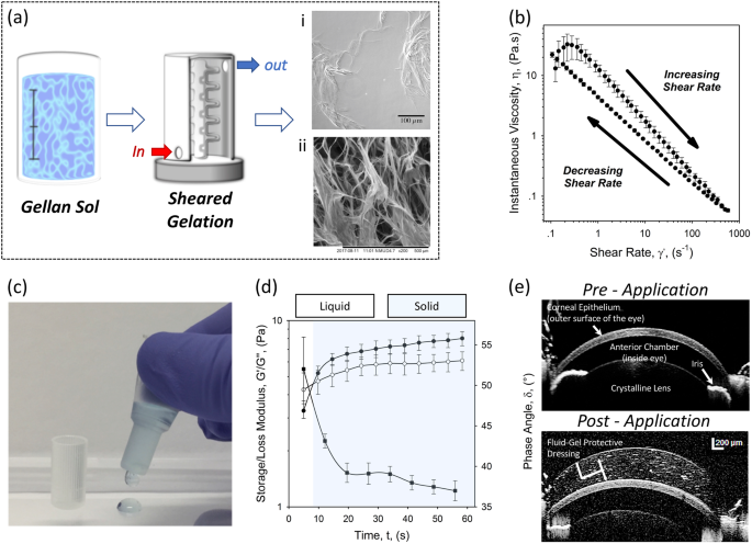 Sustained Release Of Decorin To The Surface Of The Eye Enables Scarless Corneal Regeneration Npj Regenerative Medicine Sustained Release Of Decorin To The Surface Of The Eye Enables Scarless Corneal Regeneration Npj Regenerative Medicine