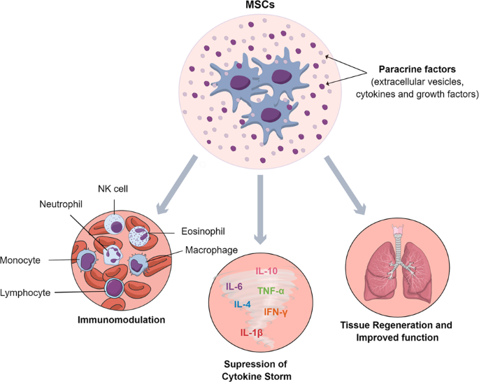 Further validation of the effi...