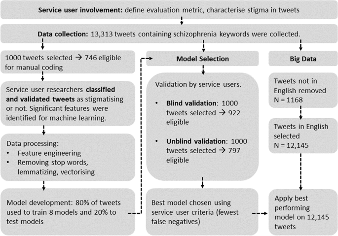 Identifying schizophrenia stigma on Twitter: a proof of principle model using service user supervised machine learning