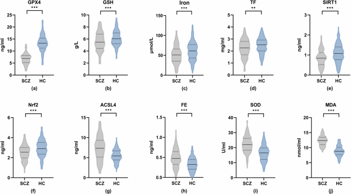 The role of ferroptosis and oxidative stress in cognitive deficits among  chronic schizophrenia patients: a multicenter investigation | Schizophrenia