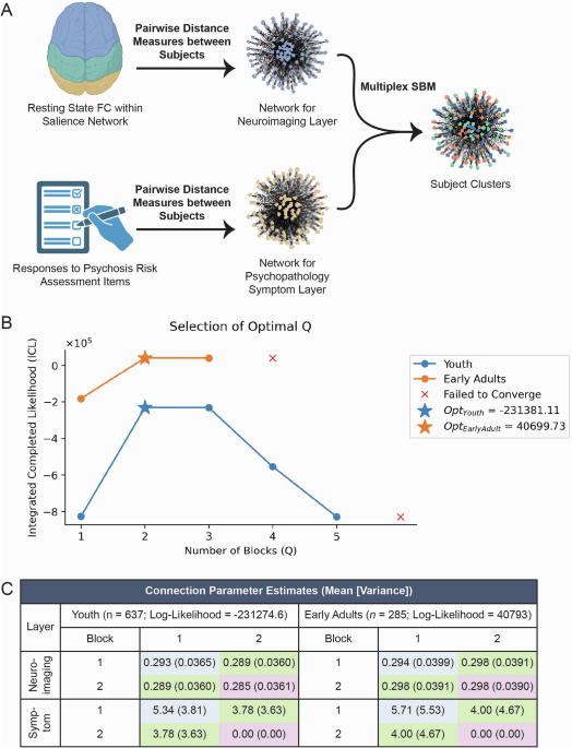 Salience network segregation and symptom profiles in psychosis risk ...