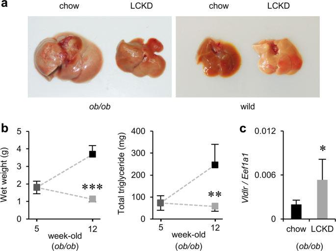 A Low Carbohydrate Ketogenic Diet Induces The Expression Of Very Low Density Lipoprotein Receptor In Liver And Affects Its Associated Metabolic Abnormalities Npj Science Of Food