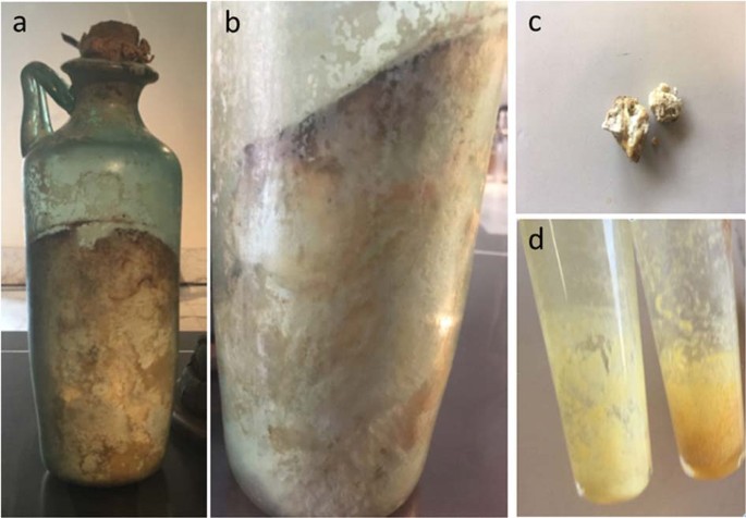 Olive oil from the 79 A.D. Vesuvius eruption stored at the Naples National  Archaeological Museum (Italy) | npj Science of Food