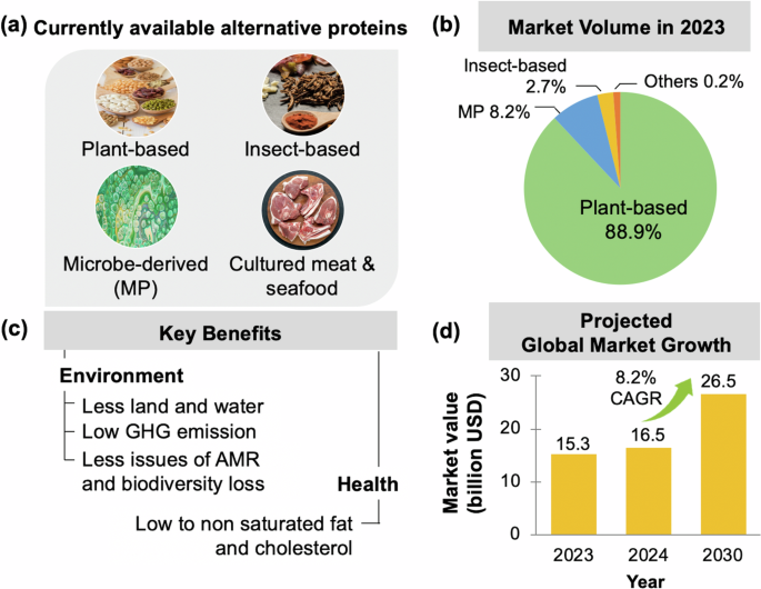 Current challenges of alternative proteins as future foods | npj Science of  Food
