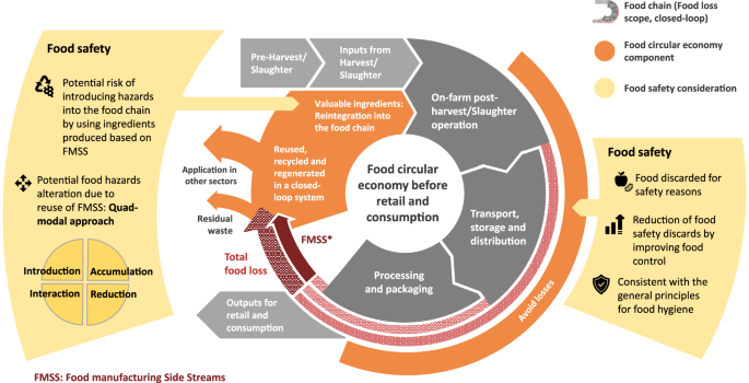 Food circular economy and safety considerations in waste management of ...
