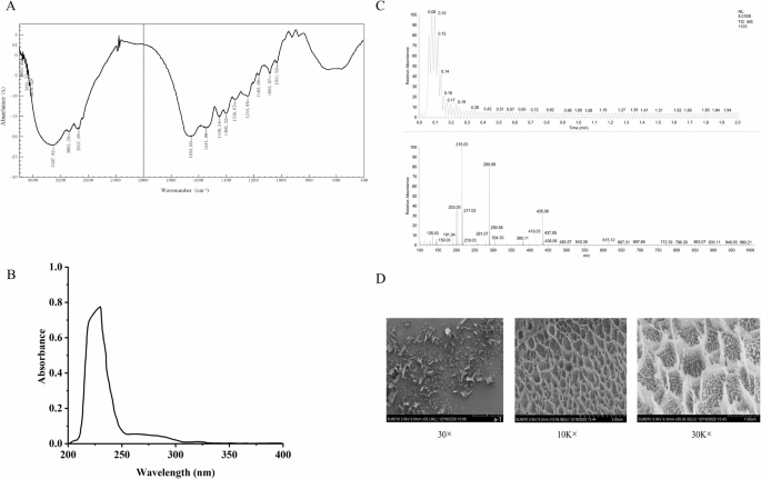 Anti-inflammatory activity of collagen peptide in vitro and its effect on  improving ulcerative colitis