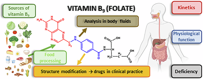 Properties of vitamin B9 