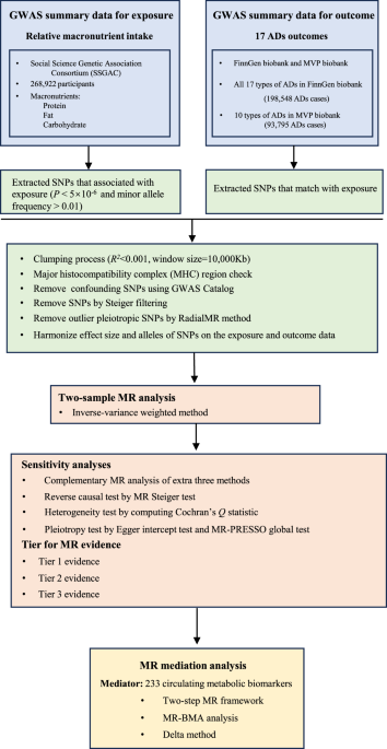 Systematic genetic investigation on relative macronutrient intake, circulating metabolic biomarkers and the risk of autoimmune diseases - npj Science of Food
