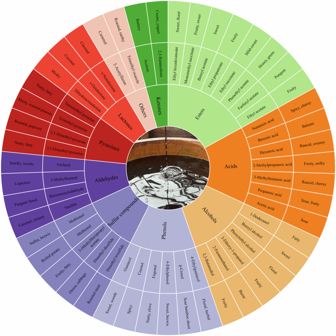 Molecular sensory science combined with machine learning for exploring key  odor-active compounds and aging-feature compounds of Shanxi aged vinegar |  npj Science of Food