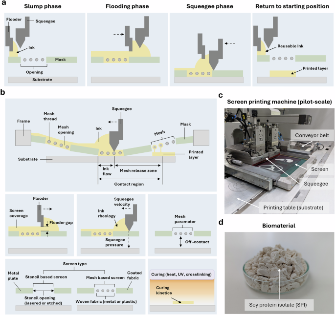 3D bio-screen printing for high-throughput production of scaffolds for meat  alternatives | npj Science of Food