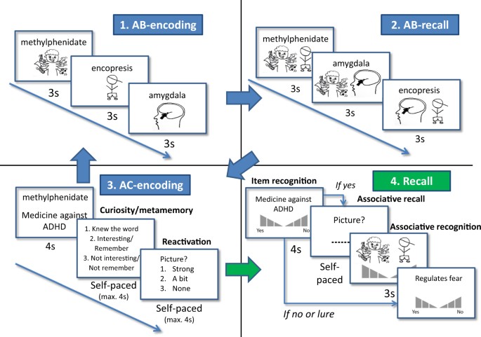 Integrating Educational Knowledge Reactivation Of Prior Knowledge