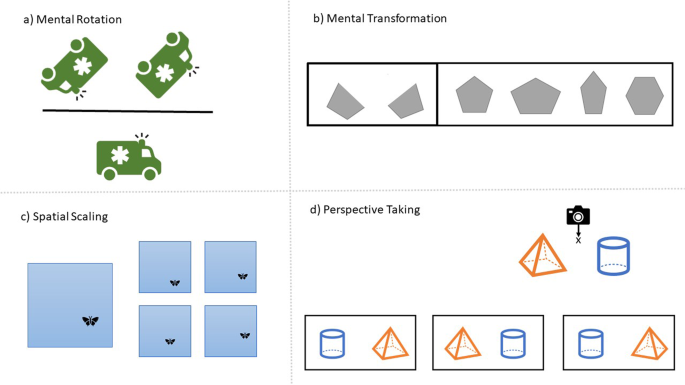 Spatial Visualisation