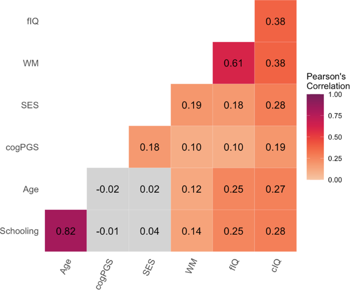 How Much Does Education Improve Intelligence: Meta-Analysis Findings 14 How Much Does Education Improve Intelligence: Meta-Analysis Findings