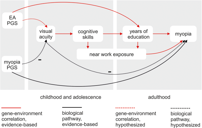 Keeping an Eye on Low Vision & Educational & Professional Underachievement  