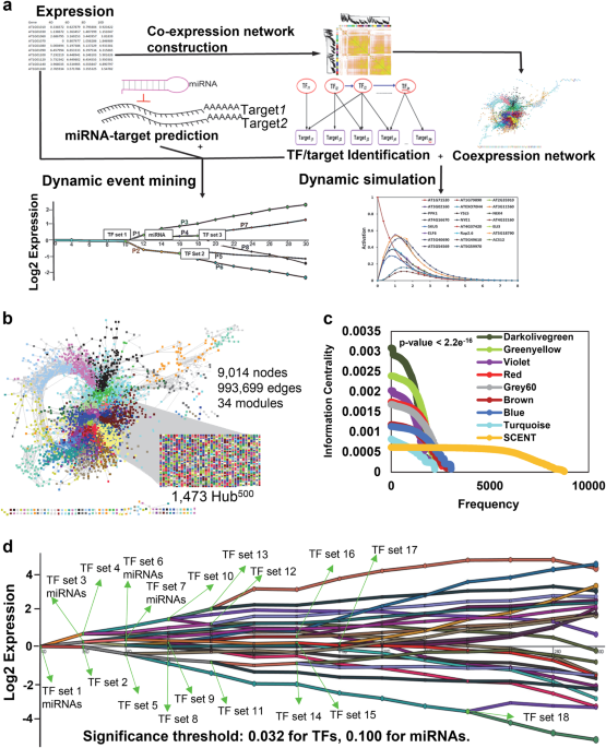 Dynamic Modeling Of Transcriptional Gene Regulatory Network Uncovers Distinct Pathways During The Onset Of Arabidopsis Leaf Senescence Npj Systems Biology And Applications