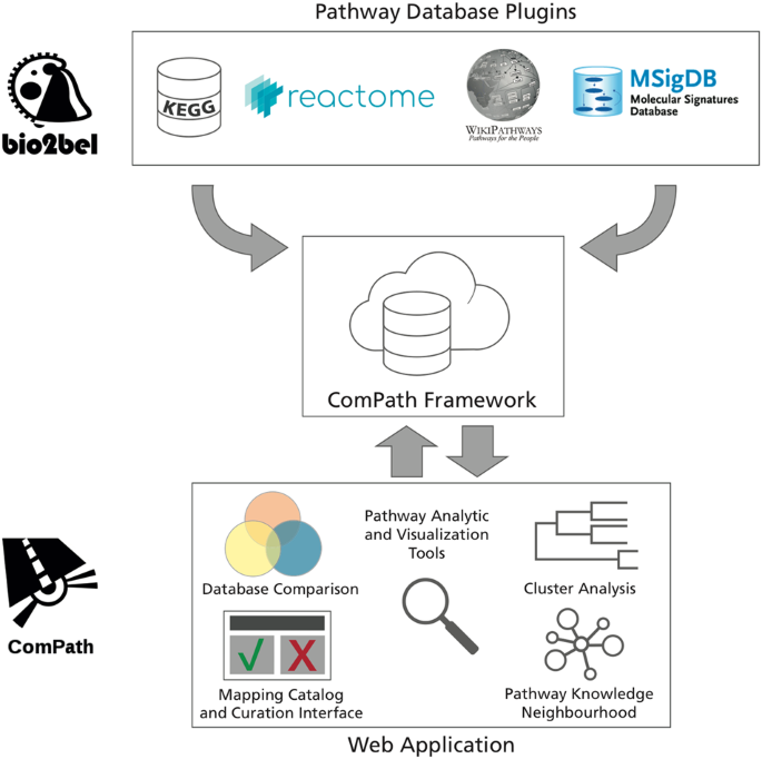 Compath: an ecosystem for exploring, analyzing, and curating mappings across pathway databases