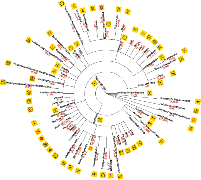 Biomedical named entity normalization via interaction-based