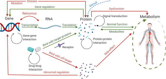 Computational systems biology in disease modeling and control 