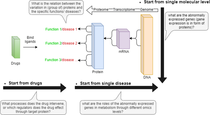 Network-based approaches for modeling disease regulation and