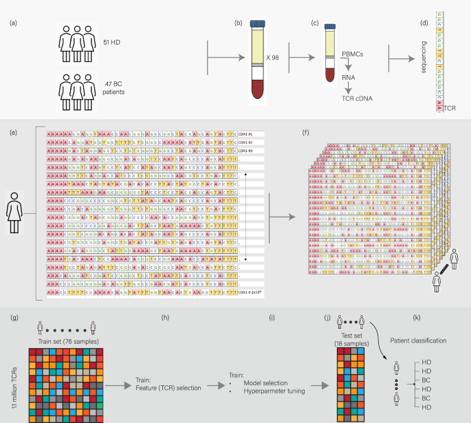 Detecting Breast Cancer from Blood: Machine Learning Insights from T Cell Receptor Repertoires