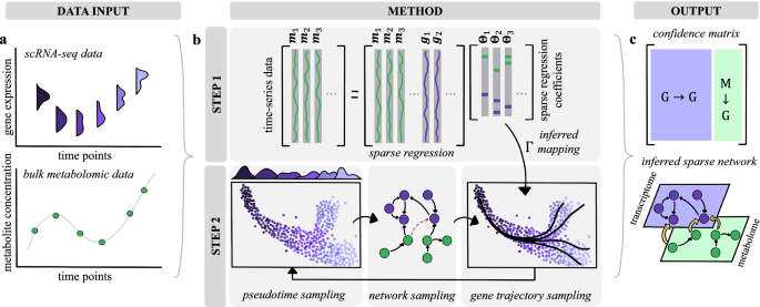 Multi-omic network inference from time-series data | npj Systems ...