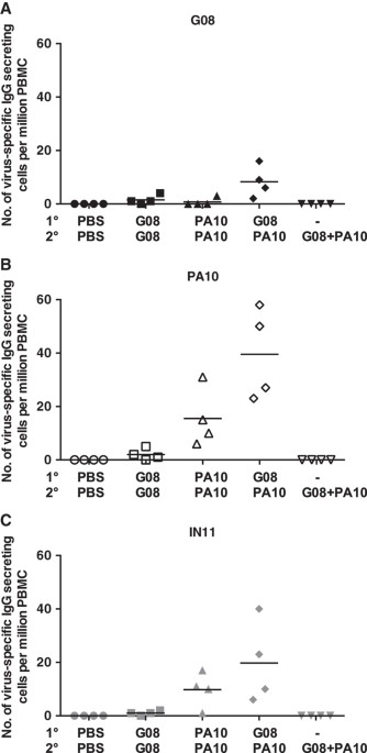 Heterologous Prime-boost Vaccination With H3N2 Influenza Viruses Of ...