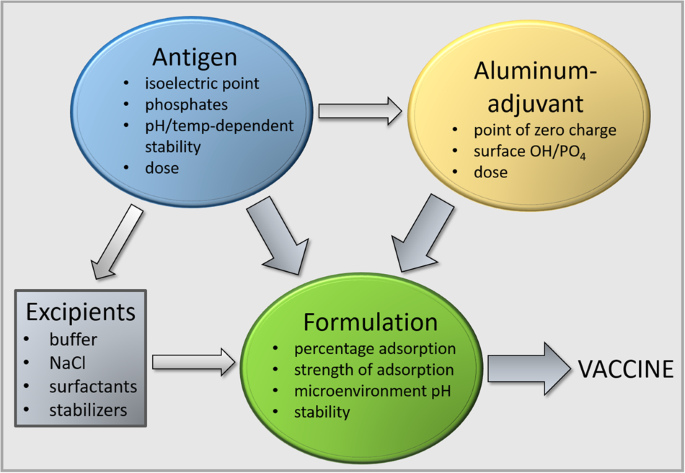 Overview of the single peptides tested for each vaccinee in the 870