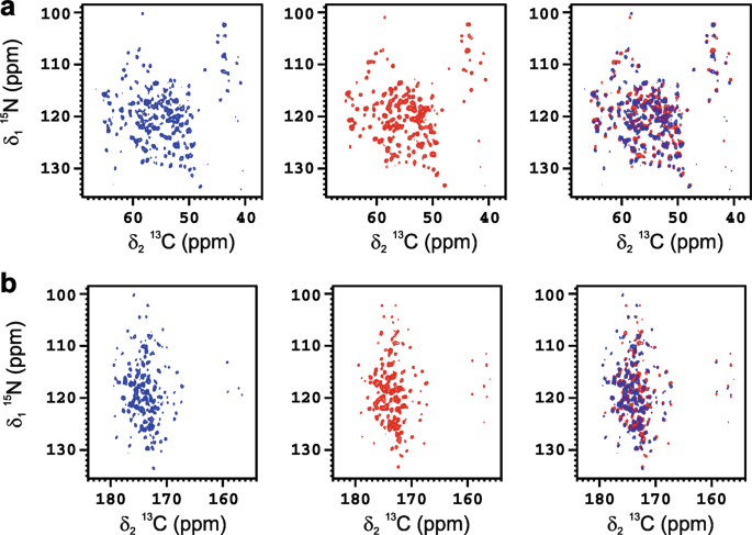 Structural characterization of a protein adsorbed on aluminum hydroxide adjuvant in vaccine formulation