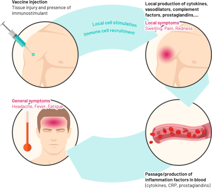 hpv vaccine side effects lymph nodes