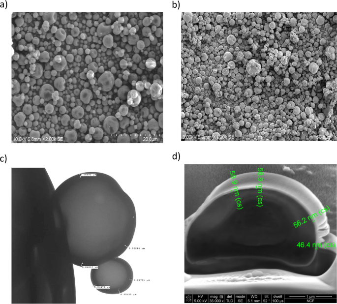 Single Administration Thermostable Human Papillomavirus Vaccines Prepared With Atomic Layer Deposition Technology Npj Vaccines