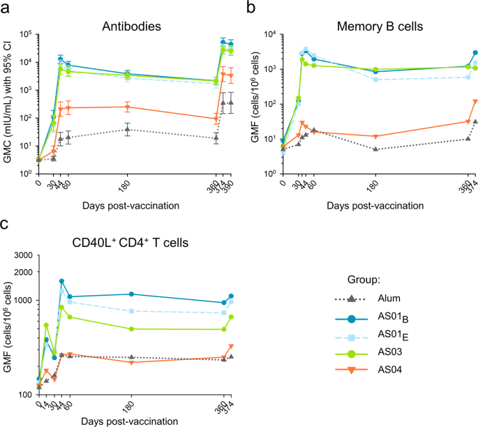 Delayed booster dosing improves human antigen-specific Ig and B