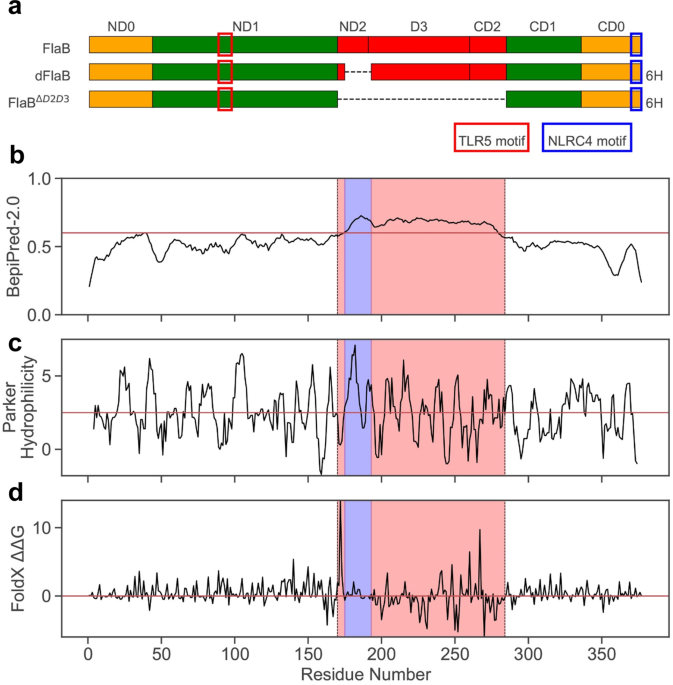 Deimmunization of flagellin fo...