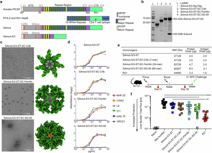 Elicitation of liver-stage immunity by nanoparticle immunogens displaying P. falciparum CSP-derived antigens