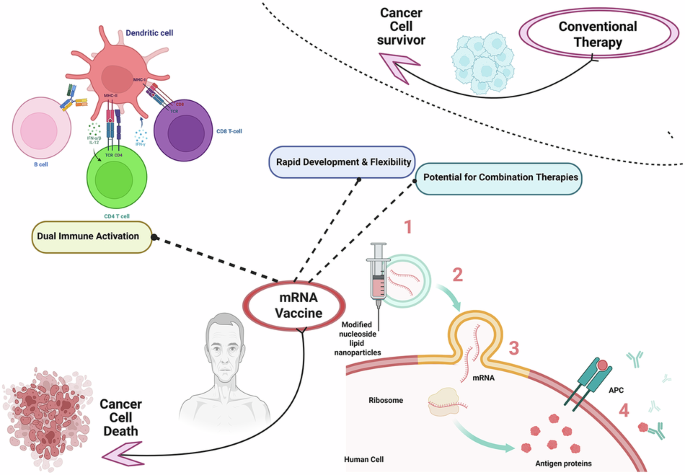 Breaking barriers in prostate cancer: the mRNA vaccine breakthrough and  what comes next | npj Vaccines