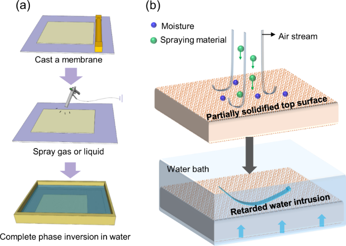 Rheologically Controlled Design Of Nature Inspired Superhydrophobic And Self Cleaning Membranes For Clean Water Production Npj Clean Water