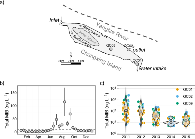 Light-dominated selection shaping filamentous cyanobacterial assemblages drives odor problem in a drinking water reservoir