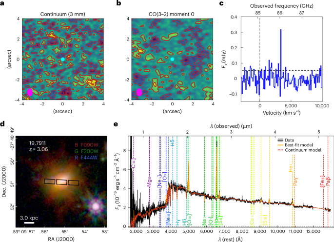 Measurement of the gas consumption history of a massive quiescent galaxy - Nature Astronomy