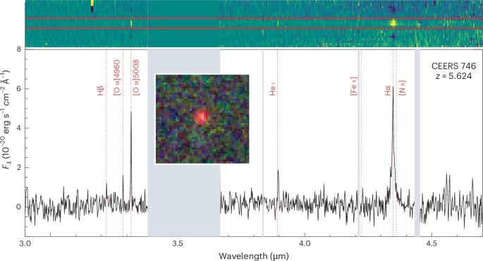 Massive black holes in the first billion years with JWST