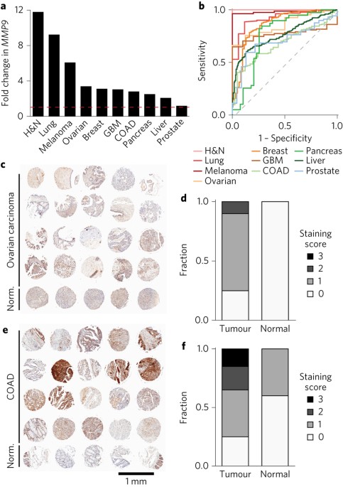 Ultrasensitive tumour-penetrating nanosensors of protease activity