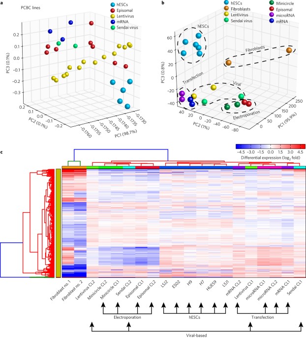Transcriptomic and epigenomic differences in human induced pluripotent stem cells generated from six reprogramming methods